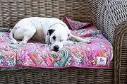 JALPUPPY 110 cm x 110 cm Large Cotton Eco PINK PURPLE Reversible Quilt Blanket for Cat Dog Puppy or Kitten