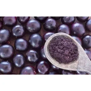 美國進口🇺🇸有機凍干巴西莓粉阿薩伊果粉 Acai Berry Powder富含花青素 2磅