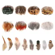 8 Styles Assorted Craft Feathers (160Pcs), Natural Chicken Feathers for DIY Earr