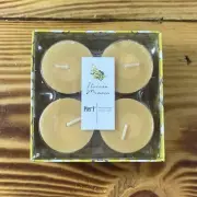 Pier 1 Imports Italian Mimosa Scented Candles New Old Stock