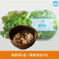 在飛比找momo購物網優惠-【NICE GREEn】美蔬菜盒6入+藥膳湯包6包送6包沙拉