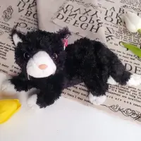 在飛比找momo購物網優惠-【TY 美國品牌】造型多彩絨毛玩偶(小黑貓)