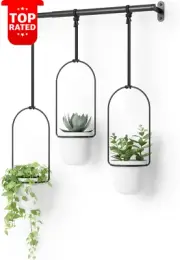 Triflora Hanging Planters Indoor Herb Garden Window Decor Triple Black White