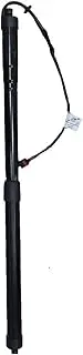 Support Struts,6891009130 Pair Electric Tailgate Gas Support Struts,Compatible With Toyota Highlander 2014-2019 6891009051 6891009053 6892009020 6892009021(Right)