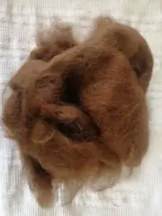 Mid Chestnut Brown Wool ROVING 100g Textile Fibre Art Craft