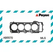 Payen Head Gasket - AB5570