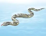 Generic Inflatable Snake - Simulation Tricky Toy,Animal Prank Toys for Family Activities, Birthdays, Fruit Themed Games, Beach Vacations,