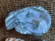Decorative Oyster Shell for Jewelry Rings Trinket Dish green tree