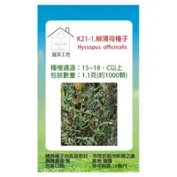 在飛比找momo購物網優惠-【蔬菜工坊】K21-1.柳薄荷種子(神香草.海壽花)