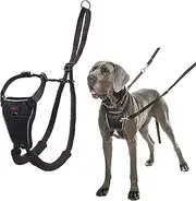 Halti Dog Training Harness, Black
