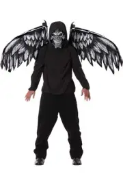 California Costume Fallen Angel Mask & Wings Halloween Cosplay Party 60548