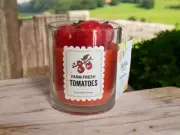 New Marthra Stewart Red Green Fresh Farm Tomato Cooking Kitchen Candle Decor