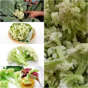 Cauliflower - Bunching F1 seeds