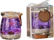 Ocean Theme Blue Purple Pink Gel Candle Ocean Theme Aromatherapy Candle /379(Type B)