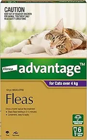 Advantage Fleas for Cats Over 4kg - 6 Pack