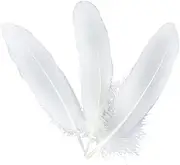 Pack of 50 Feathers DIY Portable White Plume Wedding Decoration Cloth Hair Earrings Craft Ribbon Dress Household