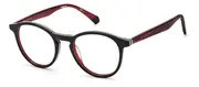 POLAROID-PLD D391-OIT-4819-GLASSES FRAMES