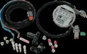 DT 1005 Internal Ignition Module RPM Limiter Heritage Springer 97-99