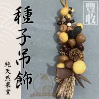 在飛比找Yahoo!奇摩拍賣優惠-【華哥雕刻工坊】｜種子吊飾（大）｜種子串｜天然果實｜質感手作