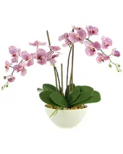 Creative Displays Orchid Arrangement in Ceramic Pot with Rocks