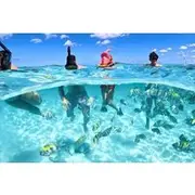 Save 20.00%! Nassau: 3 islands Pigs,Turtles,Snorkel & Beach Club with lunch