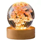 Flower Crystal Ball Night Light Flower Desk Lamp Cute Night Light (Red Daisy) AU