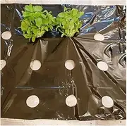 0.02mm 5 Holes Black Film Vegetable Garden Plants Grow Films, Protection Cover Greenhouse Perforated PE Mulch Film (Size : 30 Meters)