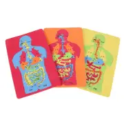 3 Pcs Educational Science for Children Fidget Kids Puzzles
