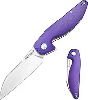 Harnds Parrot Premium Folding Knife with Sandvik 14C28N Blade 9.1cm and G10 Handle with Clip, for EDC Outdoor Camping Hunting (Purple)