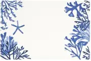 Maxwell & Williams: Blue Coral Cotton Placemat (45x30cm)