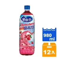 在飛比找樂天市場購物網優惠-優鮮沛 蔓越莓綜合果汁飲料 980ml (12入)/箱【康鄰