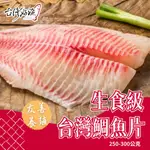 【台灣好漁】生食級台灣鯛魚片 250G-300G 台灣鯛 潮鯛 鯛魚片