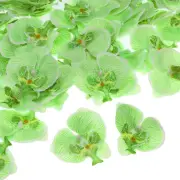 80Pcs 2.8" Artificial Silk Butterfly Orchid Flower Heads for DIY, Green