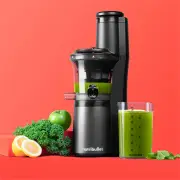 Nutribullet Slow Juicer. NBJ07300