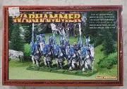 Warhammer Fantasy High Elf Dragon Princes of Caledor