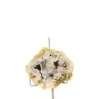 Chalcedony 212.0 Ct. Knotwork, Savoy, France