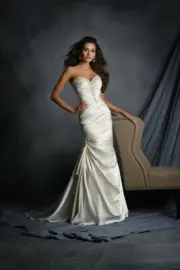 Alfred Angelo 2520 Ivory sz 24W
