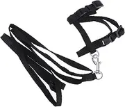 Pet Cat Harness Traction Rope Nylon Leash for Cat Collar and Leash Pet Accessories