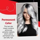 Permanent Color Cream Hair Dye Colour Cover Gray Hair Natural 100mNice