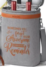 Insulated Cooler Bag w Strap for 2 Wine Booze Bottles! Reminder You're Awesome!
