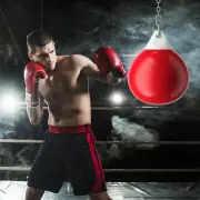 Costway45cm 50kg Water Punching Bag with Adjustable Metal Chain-Red
