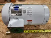 Leeson C145T17WC131A General Purpose Motor 2/1.5 HP 3 Phase 60/50Hz 1745RPM NeW