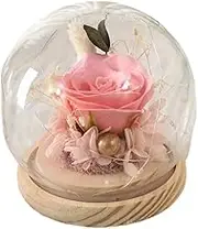 Valentine's Day Her Preserved Rose in Glass Dome Light Up Flower Gift Anniversary Birthday Home Decor(Pink)