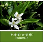 苦橙葉(回青橙)｜CITRUS AURANTIUM BIGARADE｜天然精油｜產地:巴拉圭 10ML