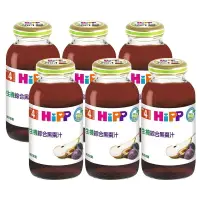 在飛比找樂天市場購物網優惠-HiPP 喜寶 生機綜合黑棗汁200ml(6罐)★衛立兒生活