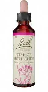 Bach Flower Star of Bethlehem 20ml