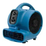 XPOWER Blower Fan Built-In Carry Handle+Ionizing+Slip-Resistant Feet+Timer Blue