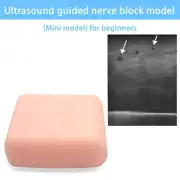 Ultrasound Guided Nerve Block Puncture Model(Mini), Ultrasound Puncture Training