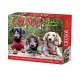 Crusoe the Celebrity Dachshund 2022 Box Calendar