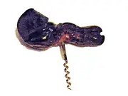 Vintage French Corkscrew Wine Bottle Opener Bordeaux Grape Vine Burl Drift Wood